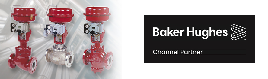 Valves, Control Globe