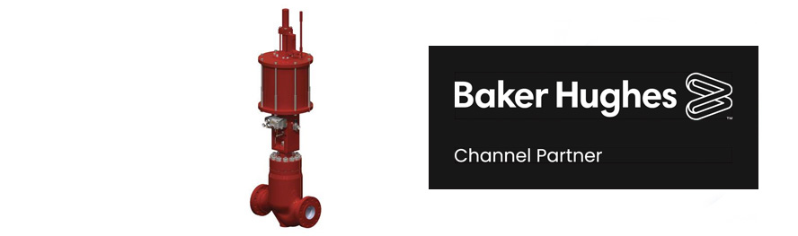 Valves, Engineered, Special, Severe Service