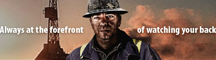 Fixed Gas and Flame Detection